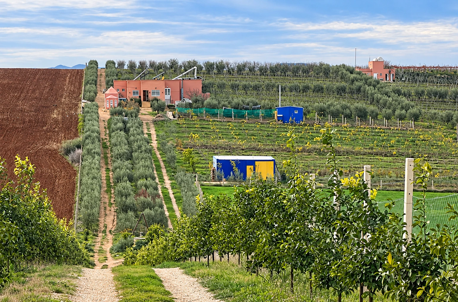Le domaine BioMouja : vergers, parcelles cultivées et bâtiments de la ferme